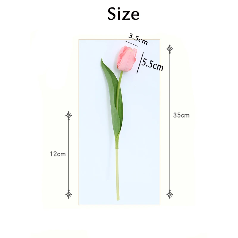 Pink tulip with dimensions 35cm and 12cm shown.