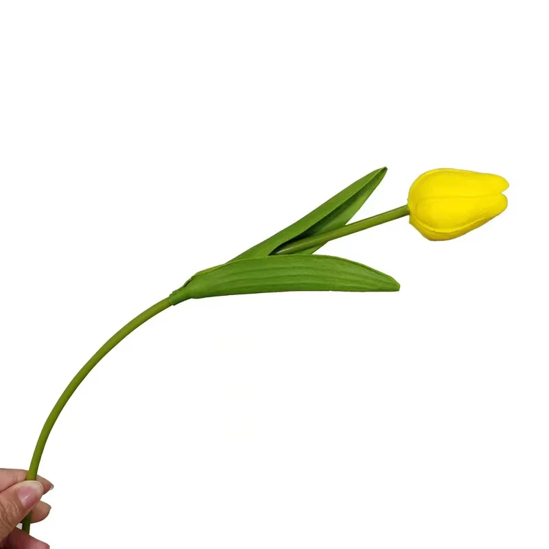 Yellow tulip with green stem and leaves.