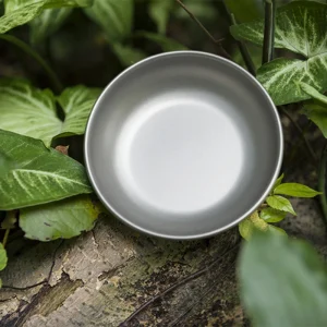 Silver bowl placed among green leaves